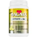 Magnex Citrate 375mg+B6 100 chew tablet – Hledejceny.cz