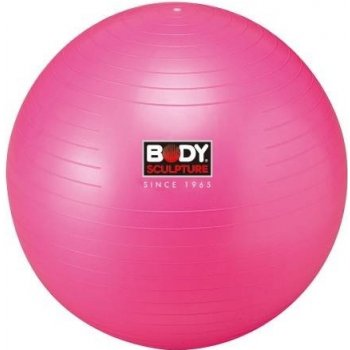 RS GYM Ball 55 cm