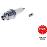 Zapalovací svíčka NGK 4210 – Hledejceny.cz