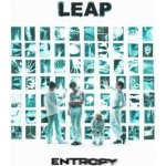 Leap - Entropy (White Vinyl Edit) LP – Hledejceny.cz