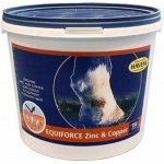 Havens EquiForce Zinc & Copper 1 kg – Hledejceny.cz