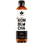 Puhdistamo kombucha bio zázvor a citrón 400 ml – Zboží Dáma