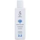 Gestil Dermo Balance šampon proti lupům Paraben Free SLS & SLES Free 200 ml