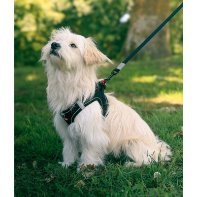 Zolux Postroj pes Síťový – Sleviste.cz