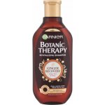 Garnier Botanic Therapy Revitalizing Shampoo se zázvorem a medem 400 ml – Zboží Mobilmania