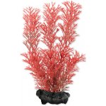 Tetra Myriophyllum heterophyllum - Red Foxtail 15 cm – Sleviste.cz