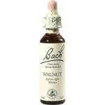 Bachovy květové esence Vlašský ořech Walnut 20 ml – Hledejceny.cz
