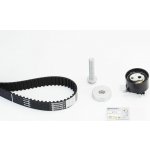 CONTINENTAL CTAM CT1244K2 Sada rozvodového řemene (CT1244K2) – Zboží Mobilmania