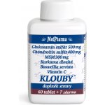 MedPharma Glukosamin chondroitin MSM 67 tablet – Zbozi.Blesk.cz
