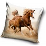 Carbotex koně 40 x 40 cm – Sleviste.cz