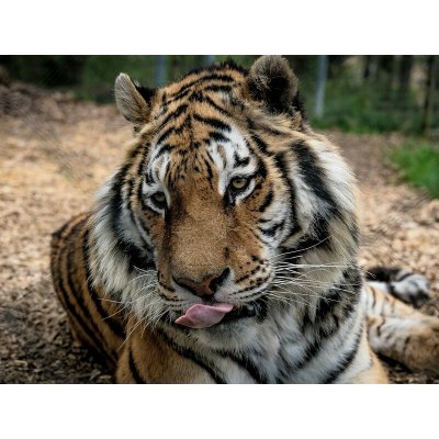 Zážitková noc v zoo – Sleviste.cz