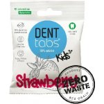 Denttabs přírodní dětská v tabletách bez fluoridu jahoda Zero waste balení 10 000 ks – Hledejceny.cz