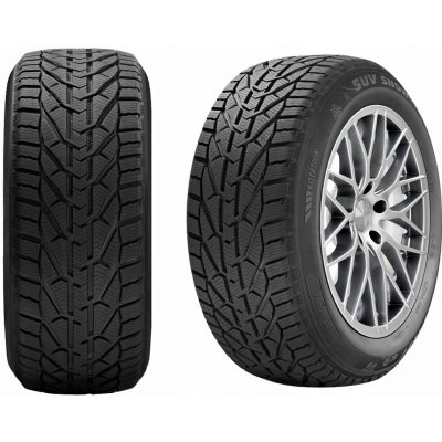 Riken Snow 195/55 R16 87H