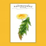 ePiPí Nažehlovačka - Pampeliška – Hledejceny.cz