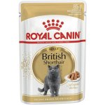 Royal Canin British Shorthair Gravy 85 g – Hledejceny.cz