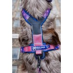 Non-stop Dogwear Postroj Line 5.0 Rachel Pohl – Zboží Dáma