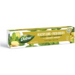 Dabur zubní pasta s mátou a zázvorem pro svěží dech 100 ml – Hledejceny.cz