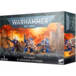 GW Warhammer Space Marines Bladeguard Veterans – Zboží Živě
