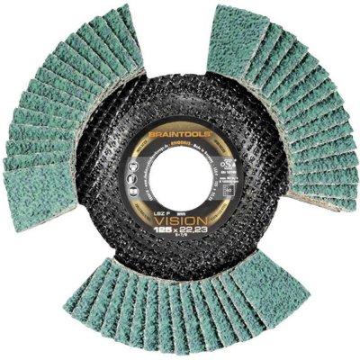 Rhodius Lamelový brusný kotouč 125 x 22,23 mm 207079 – Zboží Mobilmania