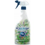Ambi pur WC Active Clean šalvěj/cedr 750 ml – Hledejceny.cz