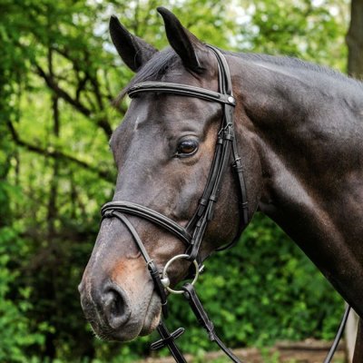 Prestige prošívaná tobacco – Zboží Dáma