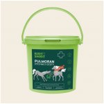 Root & Snoot Pulmoran dýchací cesty pro koně sypaná směs 1 kg – Hledejceny.cz