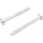 Nerezový vrut DIN 95 A2 6,0X55 – Hledejceny.cz