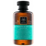 Apivita Oily Roots Dry Ends šampon 250 ml – Zboží Mobilmania