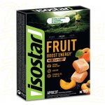 ISOSTAR HIGH ENERGY FRUIT BOOST 10 x 10 g – Sleviste.cz