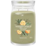 Yankee Candle Signature Sage & Citrus 567 g – Hledejceny.cz