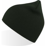 Atlantis Recy beanie bottle green – Hledejceny.cz