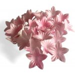 Hospodyňkám.cz Jedlý papír 3D mini kvítky růžové 40ks – Zboží Dáma