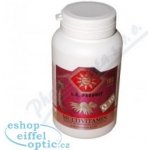 Multivitamin minerál + Ženšen + Echinacea + Koenzym Q10 100 tablet – Hledejceny.cz