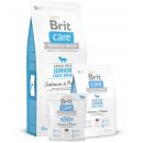 Brit Care Grain-free Junior Large Breed Salmon & Potato 4 x 12 kg