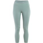 ICEBREAKER Wmns 300 MerinoFine Polar Leggings, Moss – Zboží Dáma