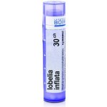 LOBELIA INFLATA POR 30CH GRA 1X4G – Hledejceny.cz