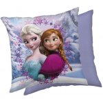 JERRY FABRICS Mikroplyšový Ledové Království Frame Polyester 40 x 40 cm – Zboží Mobilmania