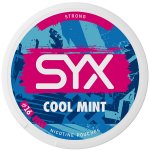 SYX COOL MINT 16,4 mg 20 sáčků – Zboží Dáma