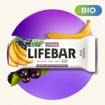 Lifefood Lifebar BIO RAW 40 g – Zbozi.Blesk.cz