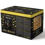Dibaq Pochoutka FFL dog Piškoty mini multipack 4 x 200 g – Hledejceny.cz