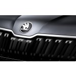 Škoda Kodiaq-Přední znak ŠKODA original 565853621 FOD – Hledejceny.cz
