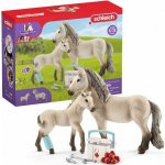 Schleich 42430 Set první pomoci pro islandské hříbě a klisna – Sleviste.cz
