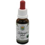 Salvia Paradise Kotvičník plod AF tinktura 30 ml – Hledejceny.cz