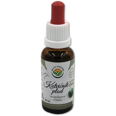Salvia Paradise Kotvičník plod AF tinktura 30 ml – Hledejceny.cz
