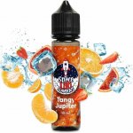 Space Lab Flavours Shake & Vape Tangy Jupiter 10 ml – Zboží Mobilmania