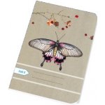 Papírny Brno Sešity školní ECONOMY A5 čistý 560 – Zboží Dáma