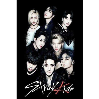 Plakát, Obraz - Stray Kids - SKZ Members, 61 × 91.5 cm – Sleviste.cz