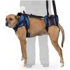 Autovýbava Walkinpets Rehabilitační postroj combo pro psa XL Zadní noha