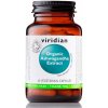 Doplněk stravy na spánek a nervovou soustavu Viridian Organic Ashwagandha extract 60 kapslí