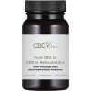 Doplněk stravy na spánek a nervovou soustavu CBD Vital Pure CBD kapsle 1060 mg 60 ks